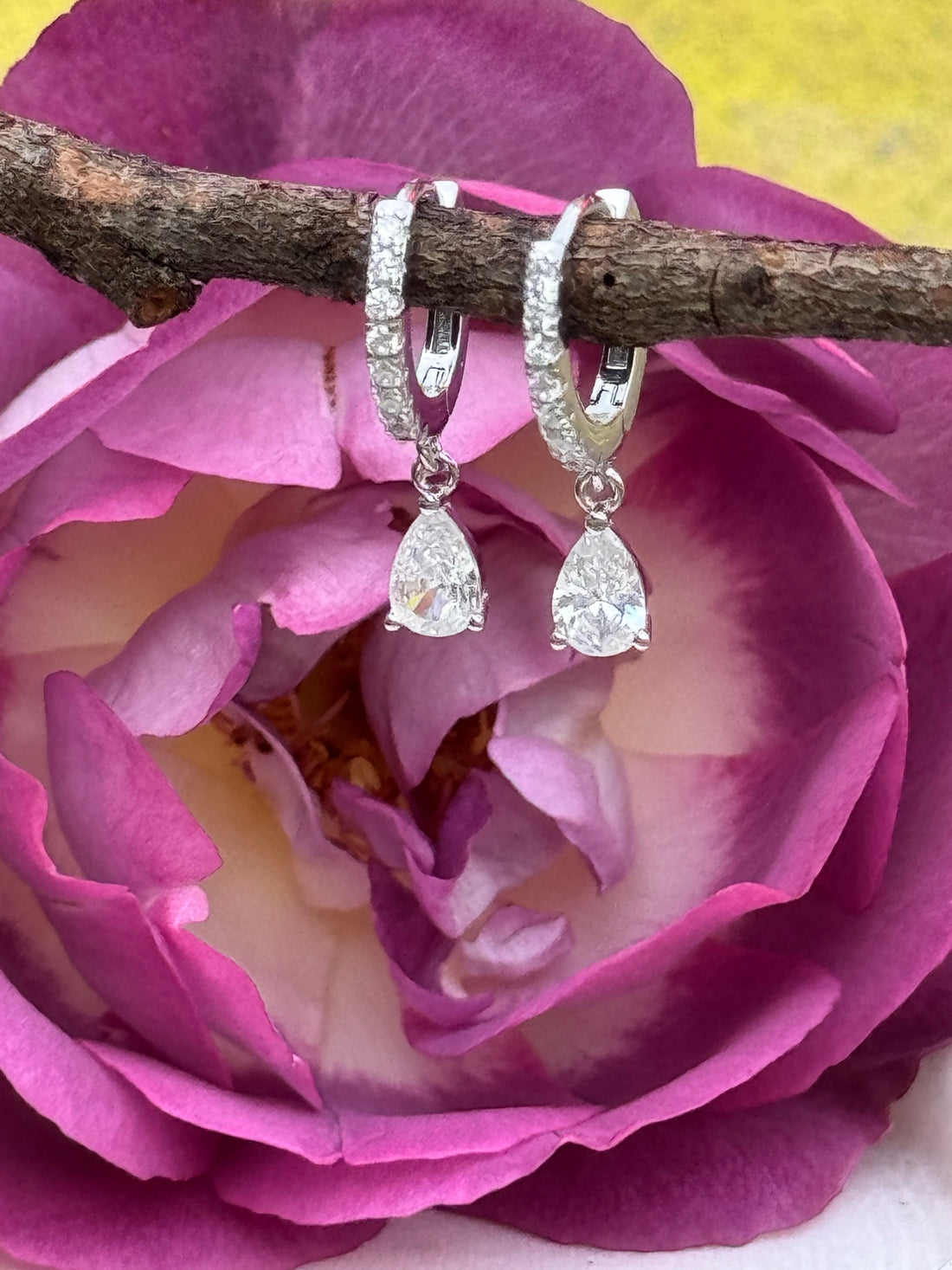 Elegant sterling silver hoop earrings with teardrop-cut cubic zirconia drops, photographed hanging on a twig with a vibrant pink and cream rose background.